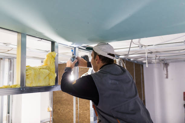 Best Commercial Insulation Services  in Cary, IL