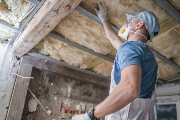 Best Attic Insulation Installation  in Cary, IL