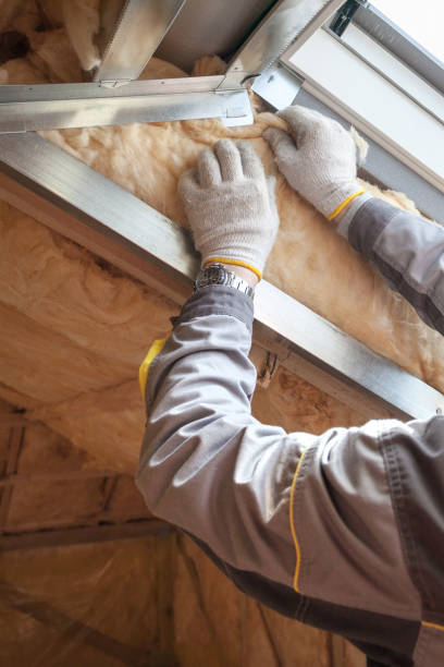 Best Attic Insulation Installation  in Cary, IL