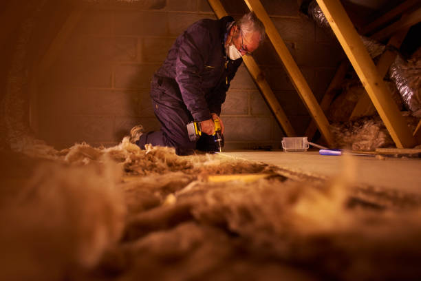 Best Insulation Air Sealing  in Cary, IL